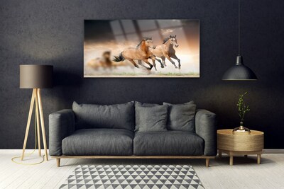 Foto op plexiglas Paarden dieren