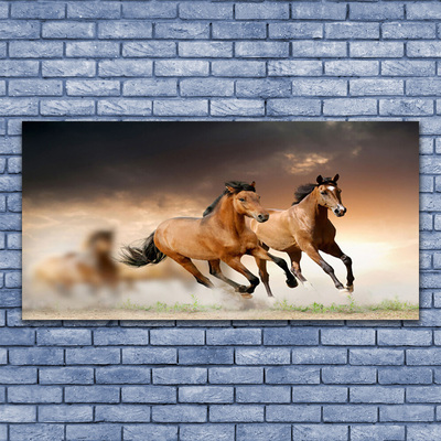 Foto op plexiglas Paarden dieren