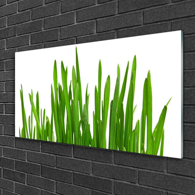 Foto op plexiglas Gras op muur