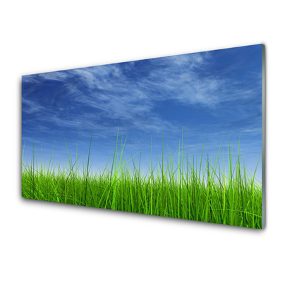 Foto op plexiglas Sky grass nature plant