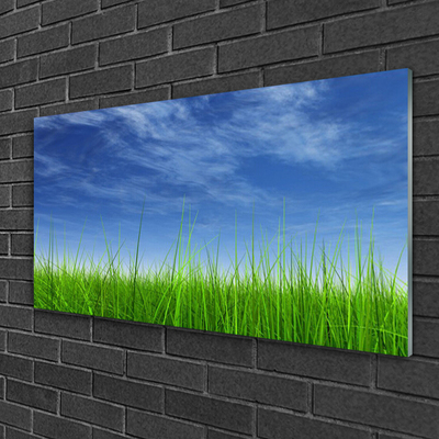 Foto op plexiglas Sky grass nature plant