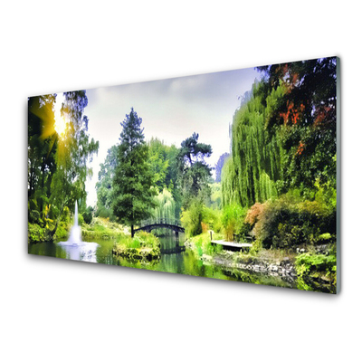 Foto op plexiglas Nature zon bos waterval