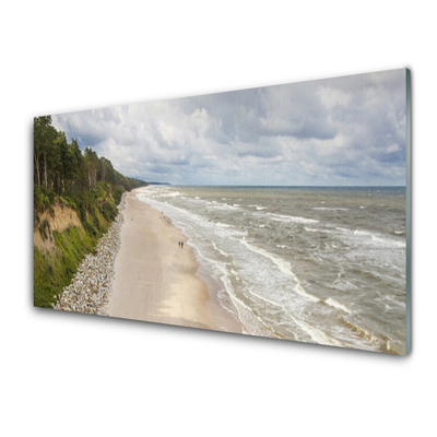 Foto op plexiglas Beach sea tree natuur