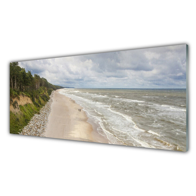 Foto op plexiglas Beach sea tree natuur