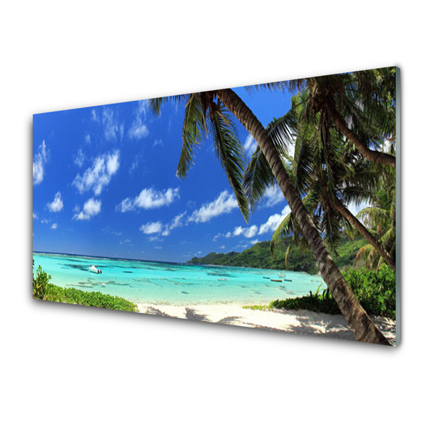 Foto op plexiglas Palm tree sea landscape