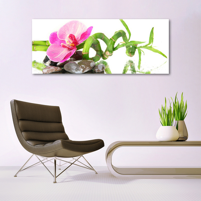 Foto op plexiglas Natuur bloem plant