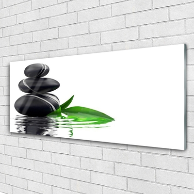 Foto op plexiglas Stones water leaves art