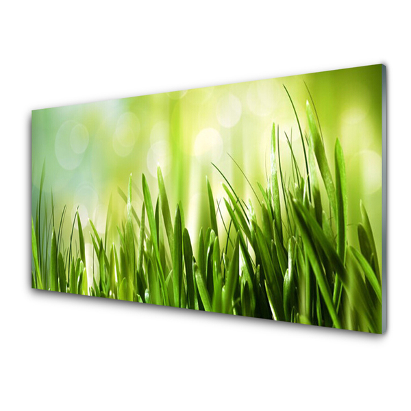 Foto op plexiglas Gras nature