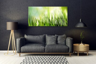 Foto op plexiglas Gras nature