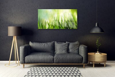 Foto op plexiglas Gras nature