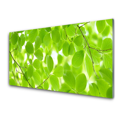 Foto op plexiglas Bladeren nature