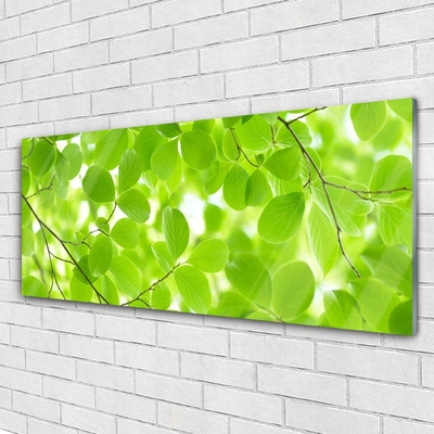 Foto op plexiglas Bladeren nature