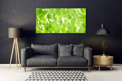 Foto op plexiglas Bladeren nature