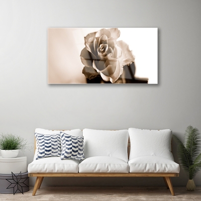 Foto op plexiglas Rose flower plant