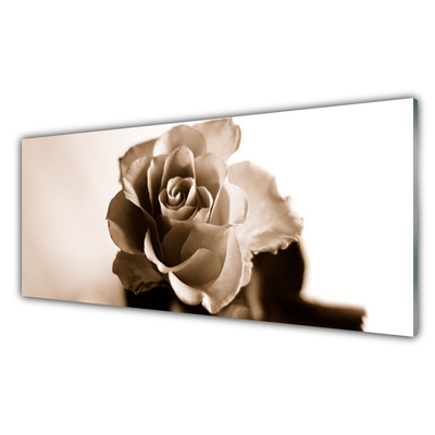 Foto op plexiglas Rose flower plant