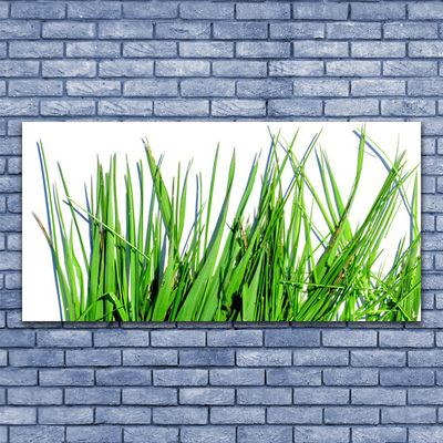 Foto op plexiglas Gras op muur