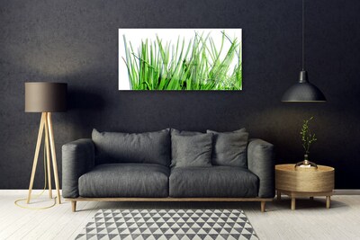 Foto op plexiglas Gras op muur