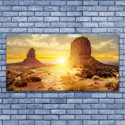 Foto op plexiglas Desert sun landschap