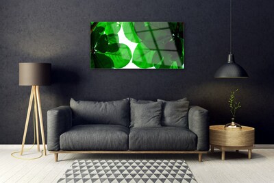 Foto op plexiglas Bladeren op muur