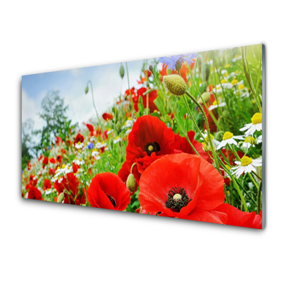 Foto op plexiglas Bloemen nature