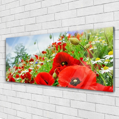 Foto op plexiglas Bloemen nature