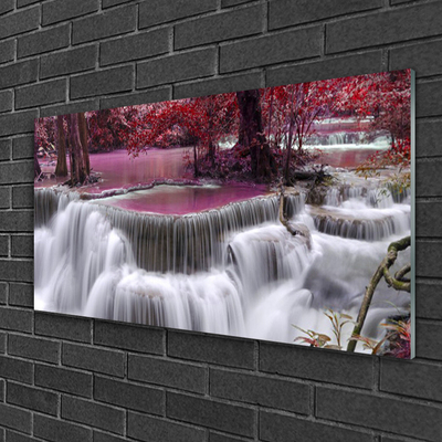 Foto op plexiglas Boom natuur van de waterval