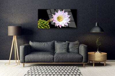 Foto op plexiglas Bloem op muur