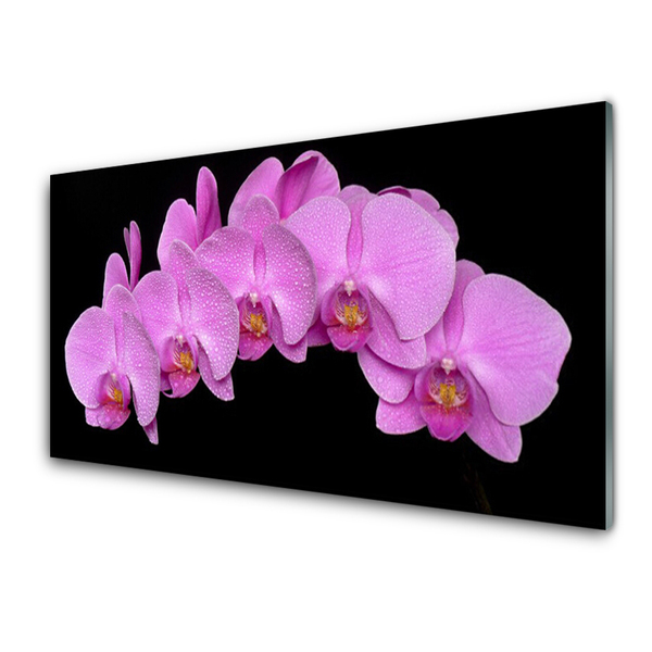 Foto op plexiglas Flowers on the wall