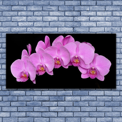 Foto op plexiglas Flowers on the wall