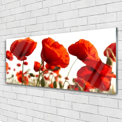 Foto op plexiglas Tulpen bloemen