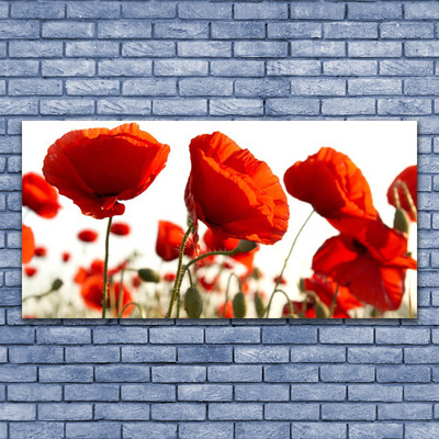 Foto op plexiglas Tulpen bloemen