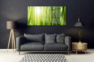 Foto op plexiglas Bamboe plant