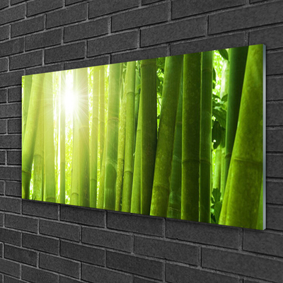 Foto op plexiglas Bamboe plant