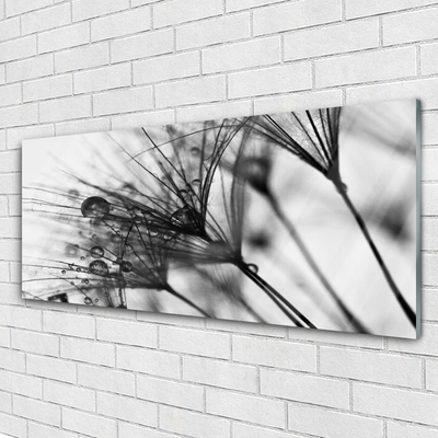 Foto op plexiglas Abstractie plant graphics