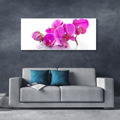 Foto op plexiglas Bloemen van het viooltje