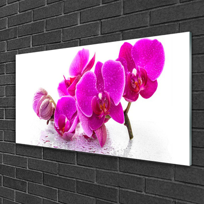 Foto op plexiglas Bloemen van het viooltje