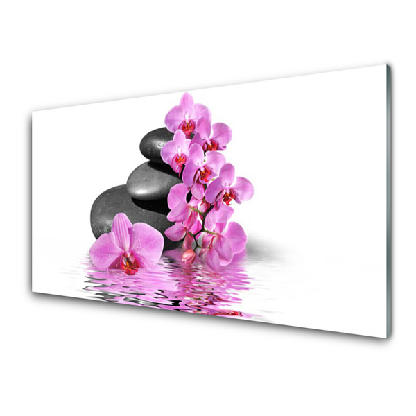 Foto op plexiglas Mooie bloem stones