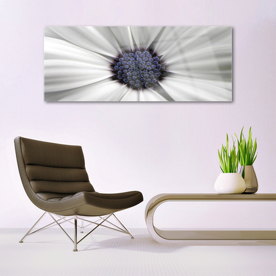 Plexiglas foto Bloemen planten