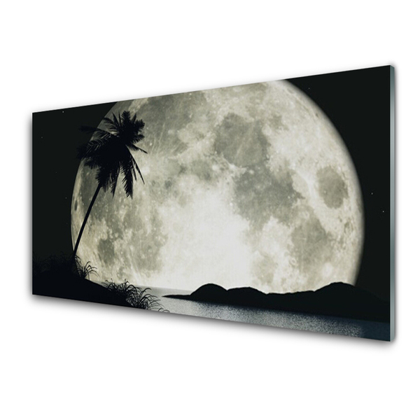 Plexiglas foto Maan van de nacht landschap palm