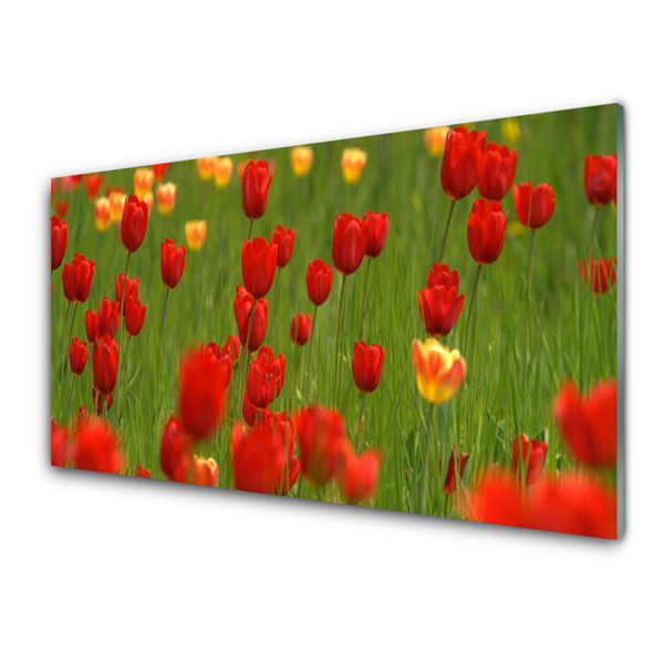Plexiglas foto Planten tulpen