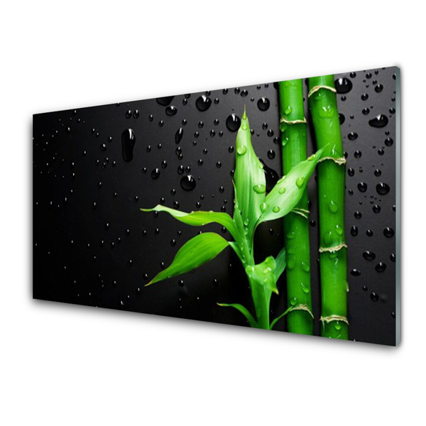 Plexiglas foto Bladeren van het bamboe plant