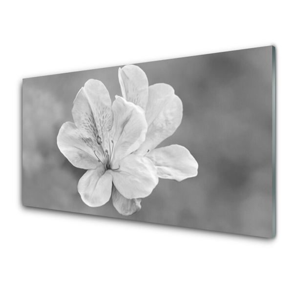 Plexiglas foto Bloemen planten