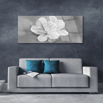 Plexiglas foto Bloemen planten