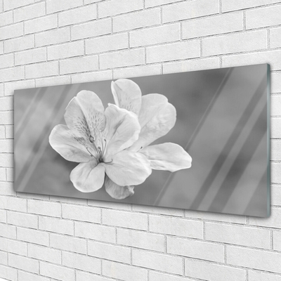 Plexiglas foto Bloemen planten