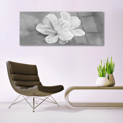 Plexiglas foto Bloemen planten