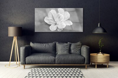 Plexiglas foto Bloemen planten