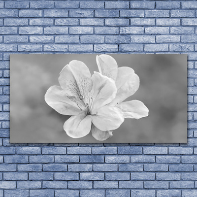 Plexiglas foto Bloemen planten