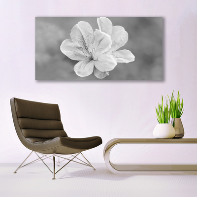 Plexiglas foto Bloemen planten