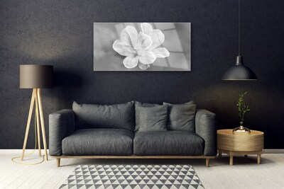 Plexiglas foto Bloemen planten