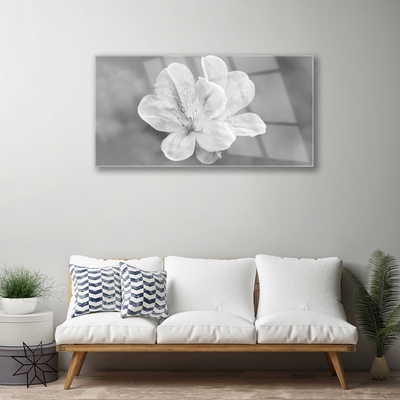 Plexiglas foto Bloemen planten